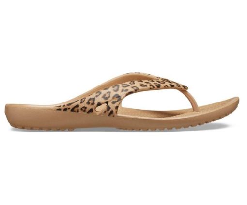 Bazaaric.shop5dfc92fc25 2